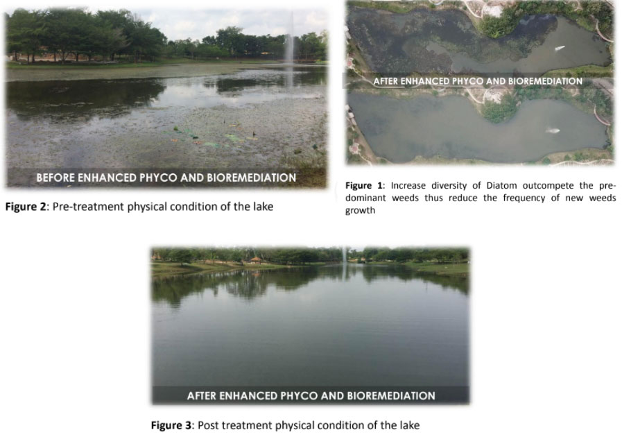 Restoring Balanced Ecosystem